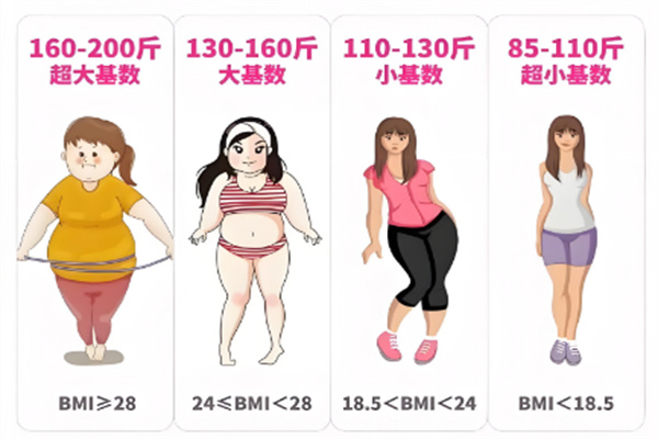 纤济美减肥