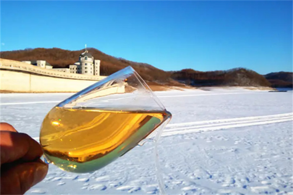 桓龙湖白冰葡萄酒