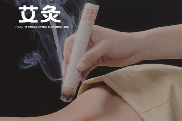 璞缇树易艾灸加盟