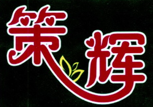 策辉旧墙翻新加盟