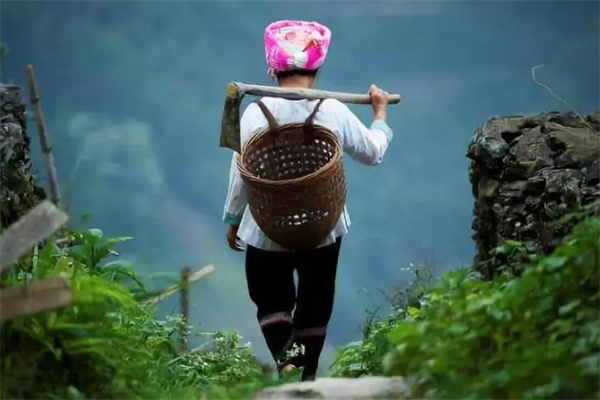 苗医疼痛理疗加盟