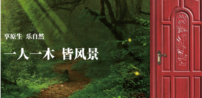 创居门业