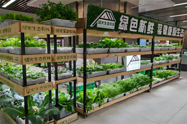 小蚂蚁生鲜连锁店