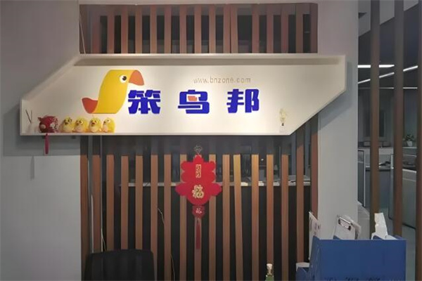 笨鸟邦会计