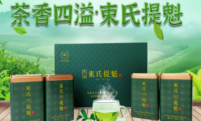 束氏提魁