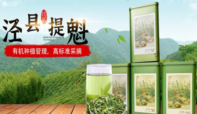 束氏提魁