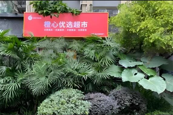 橙心优选社区