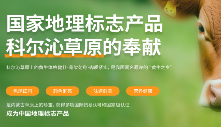 蒙小蒙牛肉干