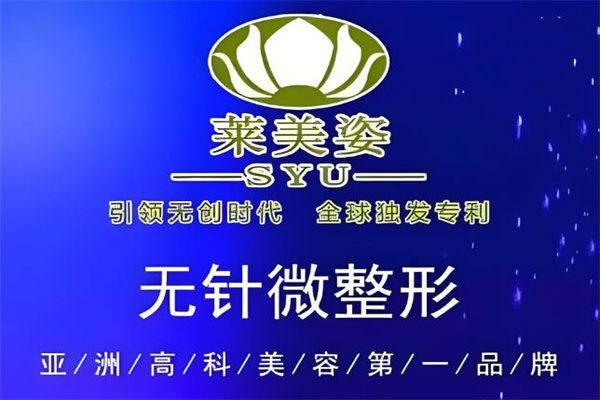 莱美姿护肤品