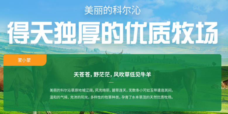 蒙小蒙牛肉干