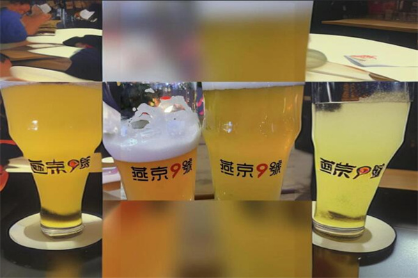 燕京9号