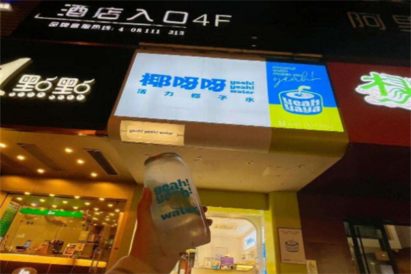 椰呀呀活力椰子水