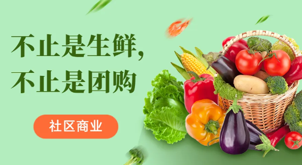 多米社区团购