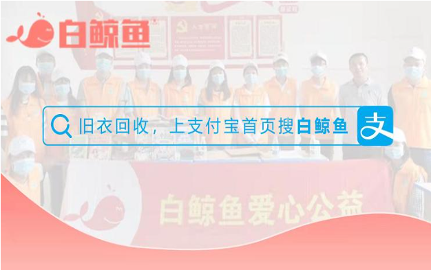 白鲸鱼回收