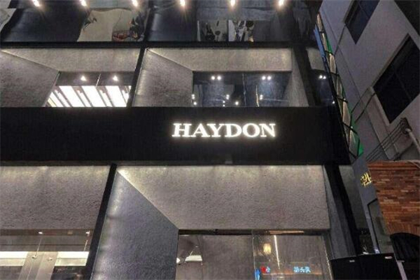 haydon黑洞