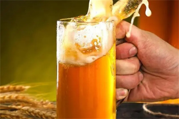 顽皮精酿啤酒