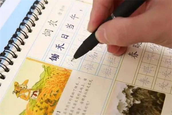 小花卷练字加盟
