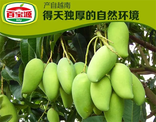 百宝源水果
