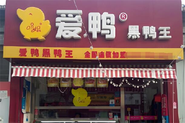 爱鸭黑鸭王