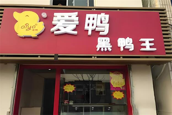 爱鸭黑鸭王