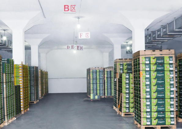 洋果仓水果店
