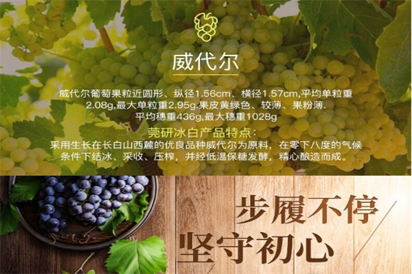 威代尔葡萄酒