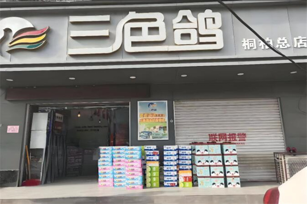 三色鸽牛奶