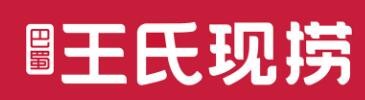 王氏现捞鸭脖加盟