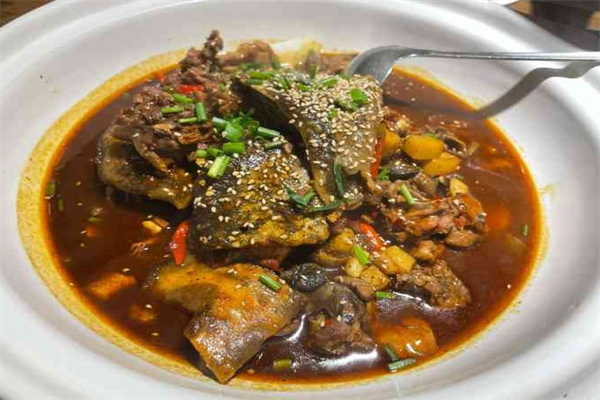 甲鱼张甲鱼铺子加盟