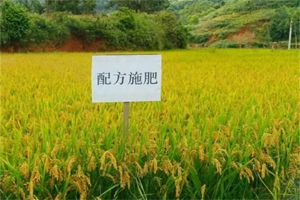 中农测土配方施肥