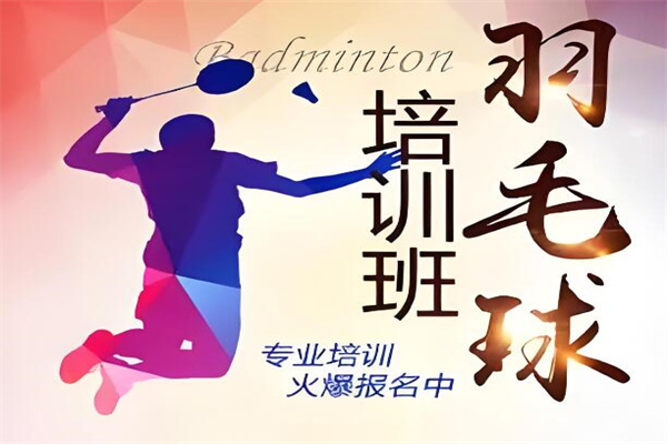球行天下体育培训