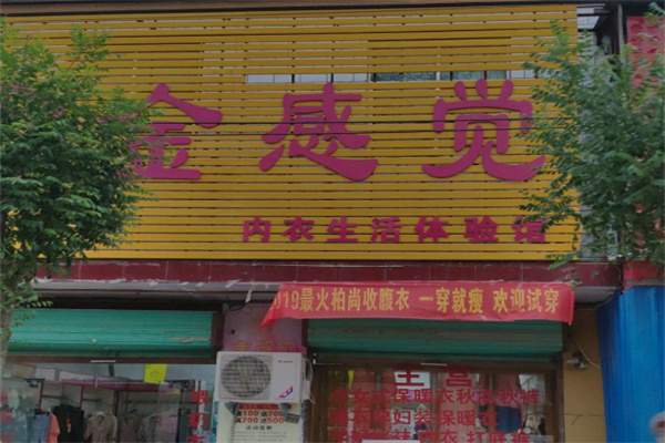 金感觉内衣