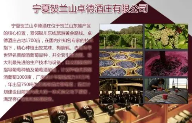 卓德酒庄