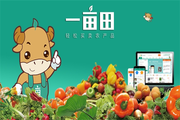 一亩田实体店加盟
