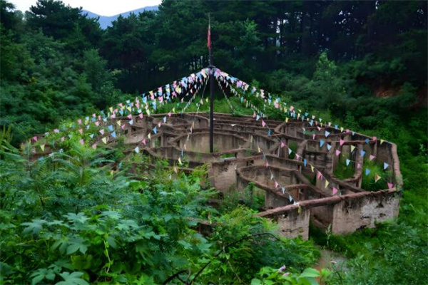 阿佤姑娘洗发水