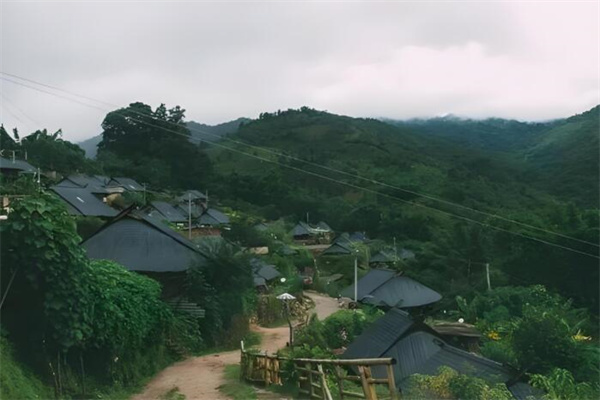 阿佤姑娘洗发水