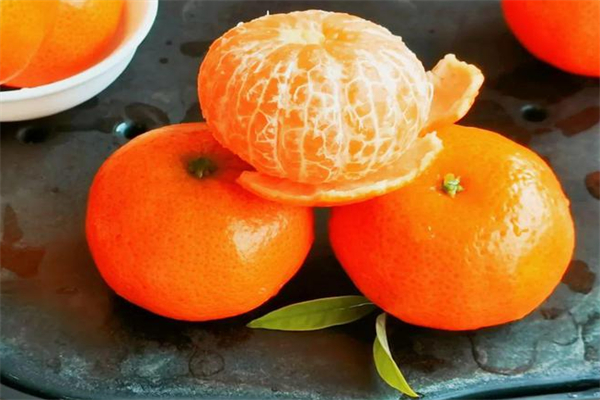青春果缘