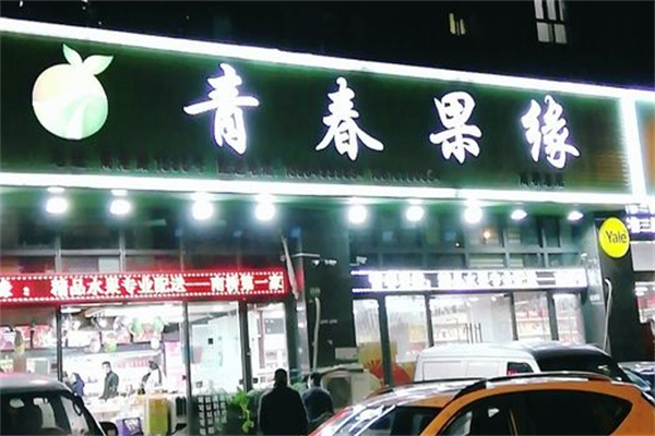 青春果缘