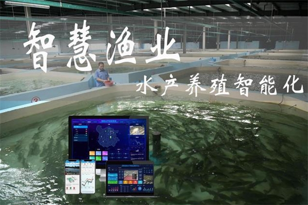 智慧水产养殖加盟