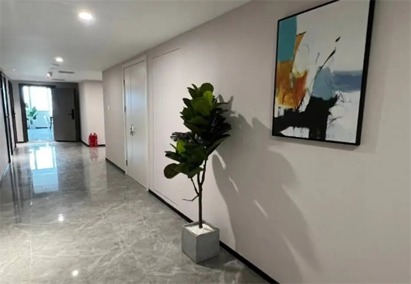 焦点商学院
