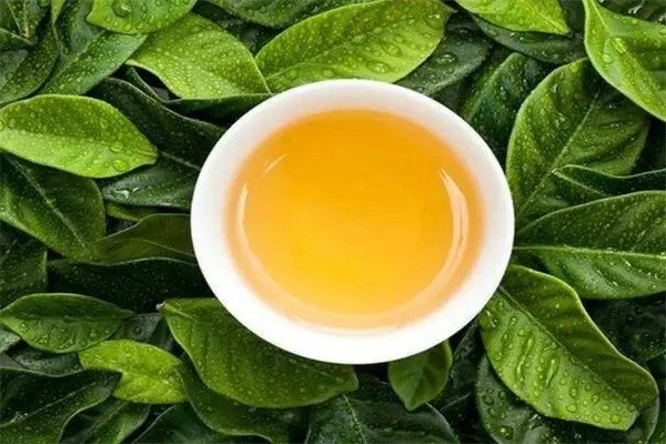 老来春茶叶加盟