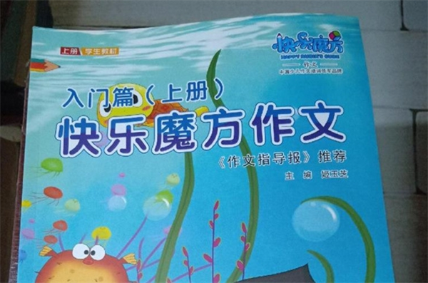 快乐魔方作文