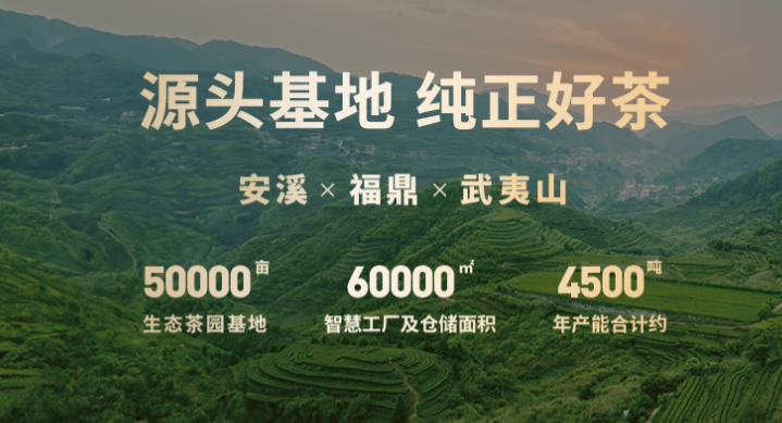 华源茶业
