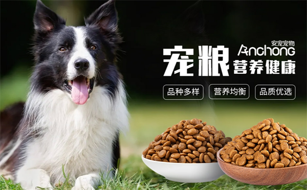 安宠宠物