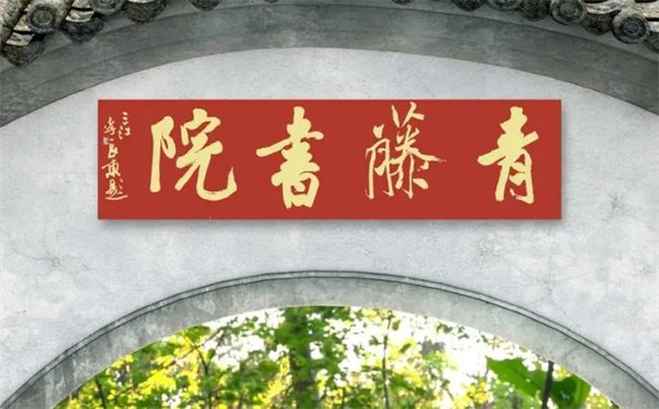 青藤书院