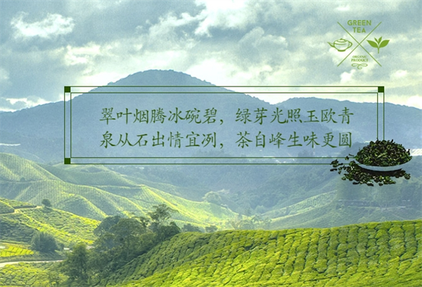 雾峰茶叶