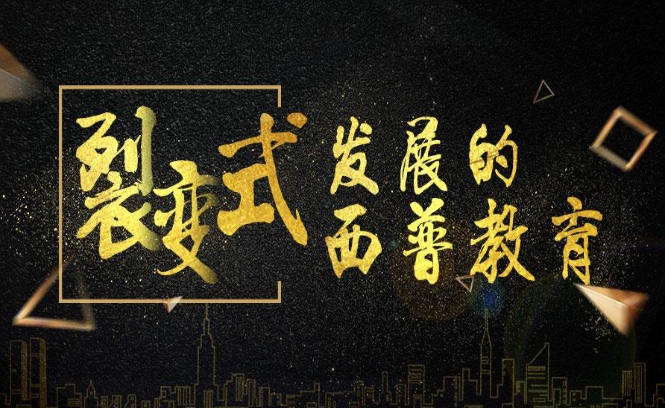 西普教育