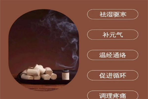 艾炙经络养生