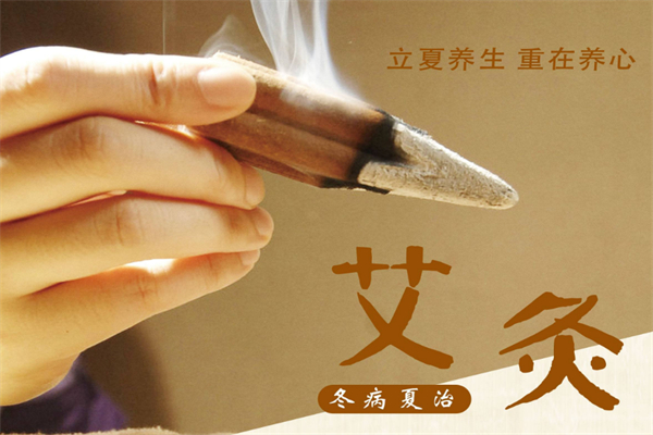 艾炙经络养生