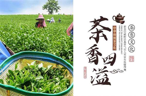 芳儒茗茶